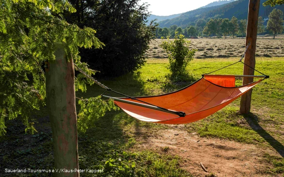 A hammock in the TalVITAL spa park in Sahlhausen