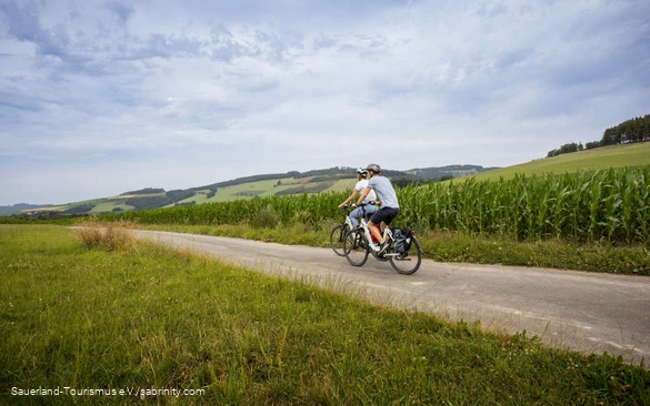 Two cyclists on tour through green nature.