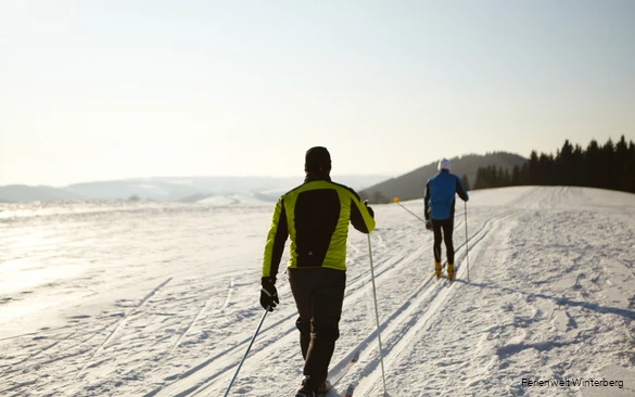 Langlauf auf gut präparierten Loipen in Winterberg.