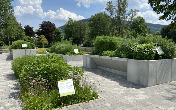afbeelding00001_klein.jpg