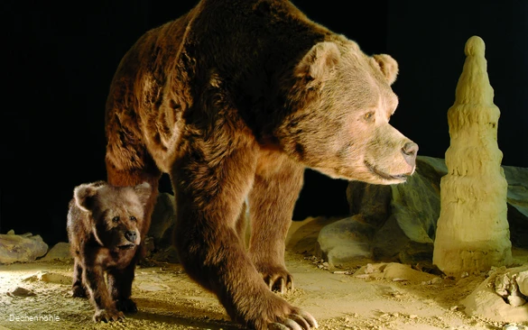 DechenhöhleCave bear.jpg