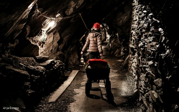 1I4A7185, Bildrechte Susanne Müller, Fotografin Anja Estepp.jpg