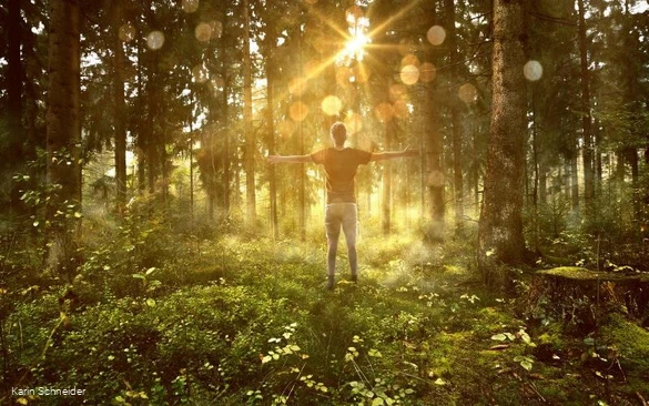 Shinrin Yoku in het bos 1.jpg