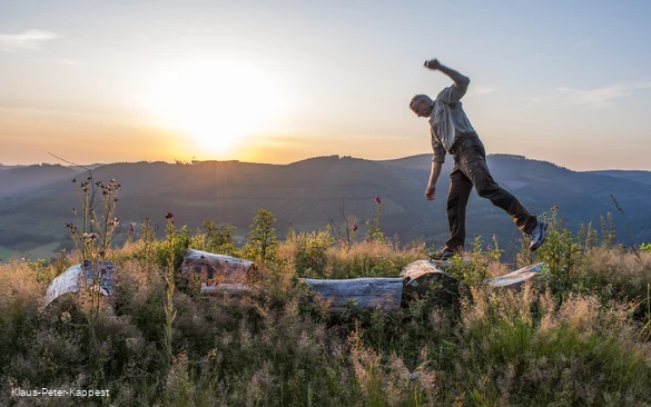 KPK567476_Klaus-Peter Kappe.jpg