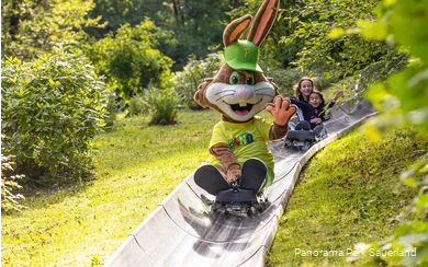 De mascotte Pano van het Panoramapark rijdt op de zomerrodelbaan Fichtenflitzer.