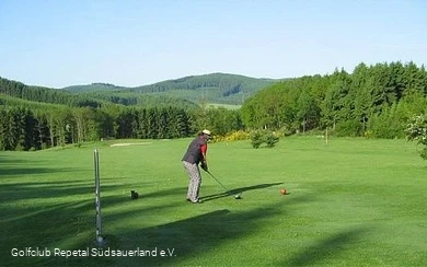 Golfclub Repetal