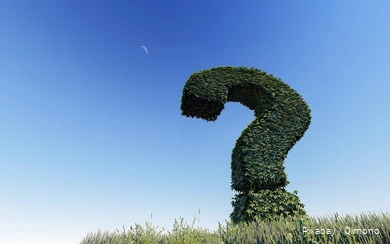 An oversized question mark made of plants above a field.