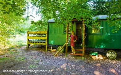 Reisebloggerin Rebecca Schirge im Wildwald Vosswinkel