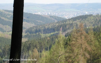 Blick auf Arnsberg