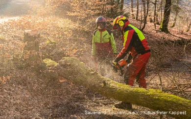 Twee medewerkers van het Landesbetrieb Wald und Holz NRW zagen een omgevallen boom om.