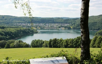 Howald-Blick auf den Biggesee.jpg