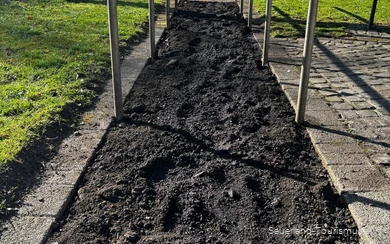 Kneippen im Kurpark in Bad Westernkotten auf dem Barfußpfad und im Solebecken