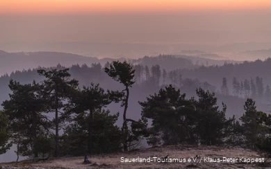 View of the landscape from the Osterkopf near Willingen.