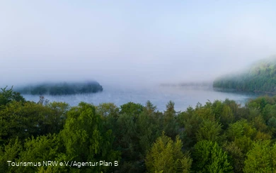Nebelstimmung am See