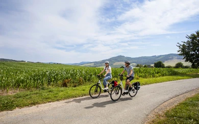 Een paar fietsers rijden over het fietspad door groene velden.