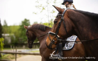 Twee ruiters met hun paarden.