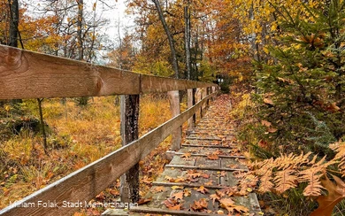 Knüppeldamm Ebbemoore