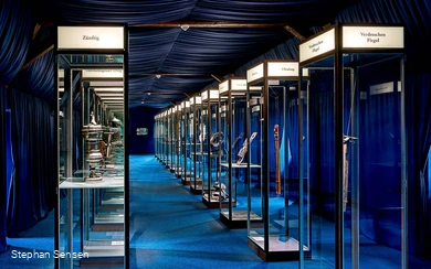 14 In aller Munde_Stephan Sensen.jpg