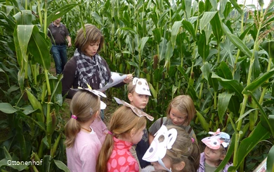 Ottonenhof Maislabyrinth