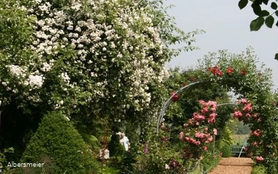 Feldgarten Schoneberg