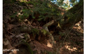 Seelenortwanderung Schinkenkeller