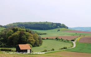Sudeck