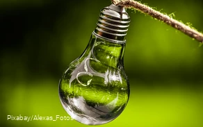 Light bulb with sprout