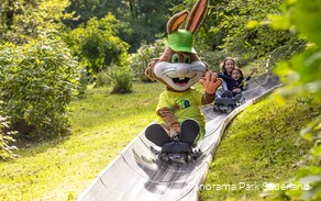 Das Panorama-Park Maskottchen Pano fährt mit der Sommerrodelbahn Fichtenflitzer.