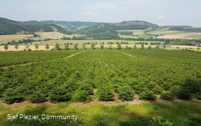 donderdag 13 augustus 2020 21:40:28