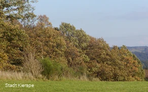 Landschaft