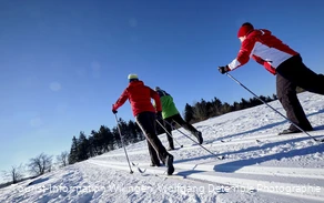 Langläufer bei Sonnenschein auf dem Ettelsberg 