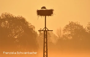 LIPPETAL - Der Storch ist aufgestanden (Franziska Schwienbacher) - quer.jpg LIPPETAL - Der Storch ist aufgestanden (Franziska Schwienbacher) - quer.jpg