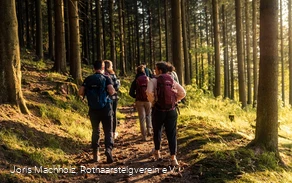 Wandergruppe in der Abendsonne im Fichtenwald auf dem Rothaarsteig