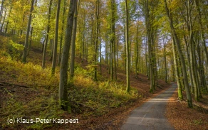 Herbststimmung bei Milchenbach