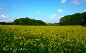 DA_DSC_0070.JPG