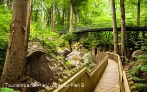 Brücken und Wege im Felsenmeer in Hemer.