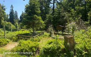 Ein beschriftetes Holzschild inmitten von Wiese und Wald.