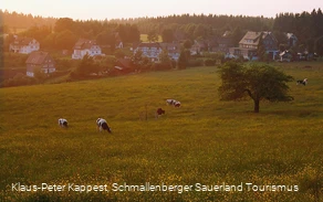 Höhendorf Schanze im Schmallenberger Sauerland