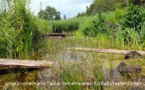 Naturschutz- & Naherholungsgebiet Muckenbruch  Moorentnehme