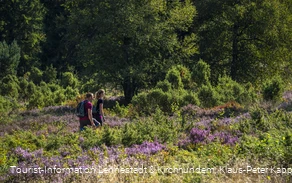 Wandern in der Heinsberger Heide