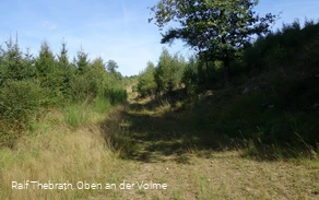 Teilweisen auf einem naturnahen Pfad geht es durch hohe Gräser.