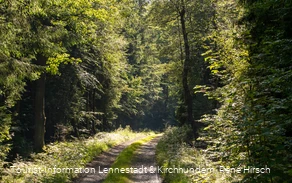 Wanderweg an der Einsiedelei