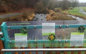 IMG-20201206-WA0006.jpg