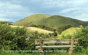Stormbrucher Wanderweg