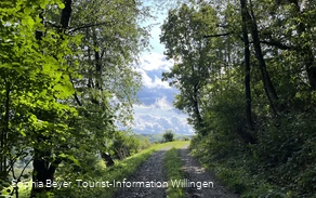 Am Wanderweg H2 bei Hemmighausen