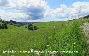 Rund um Elspe Rund um Elspe