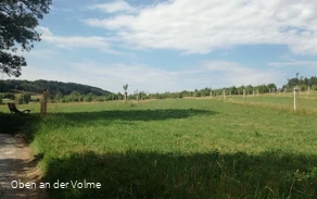 Blick auf den Obstsortengarten / die Streuobstwies