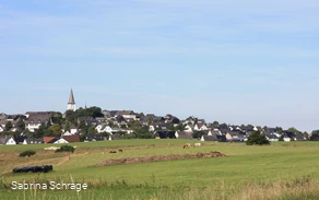 IMG_0107.JPG IMG_0107.JPG