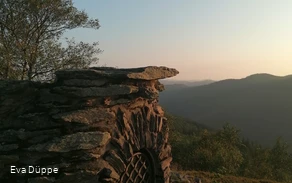 IMG_20210903_191814.jpg IMG_20210903_191814.jpg