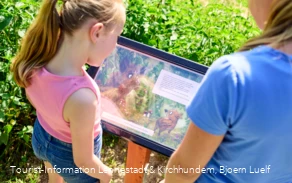 Lennestadt-Bonzel_Veischeder_Bilderbuchpfad__Björn_Lülf_Tourist-Information_Lennestadt&Kirchhundem_Touristik_LeKi_098.jpg